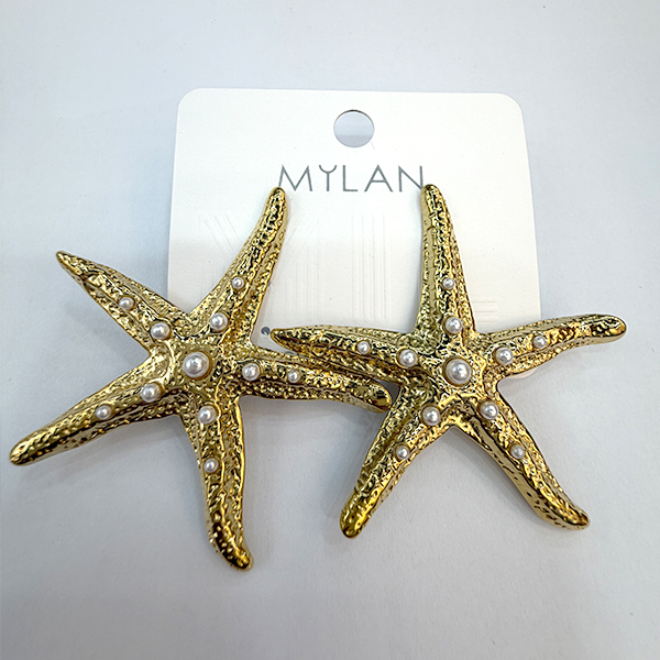 Earrings E40
