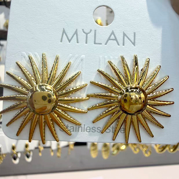 Earrings E131