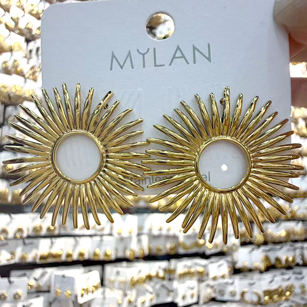 Earrings E134