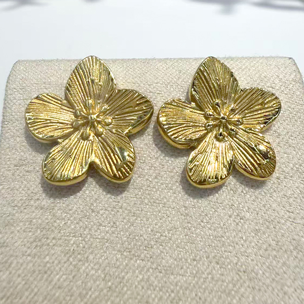 Earrings E76