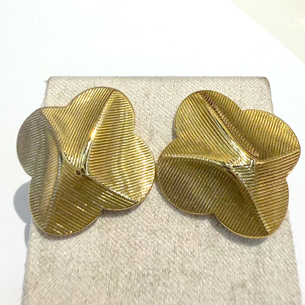 Earrings E79