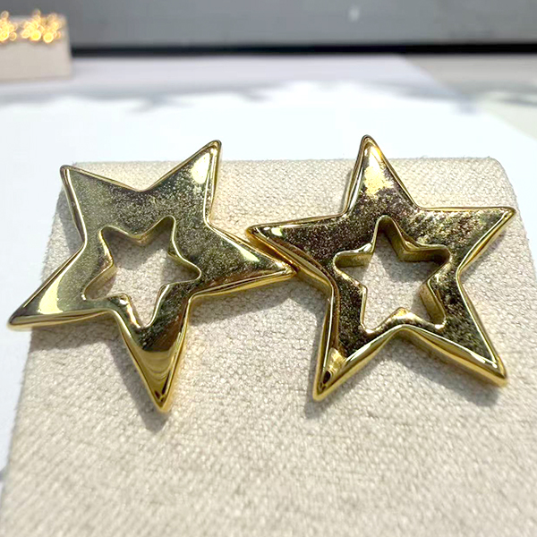 Earrings E89