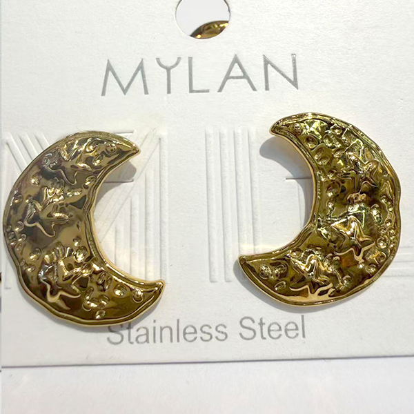 Earrings E113