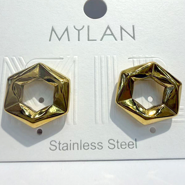 Earrings E114