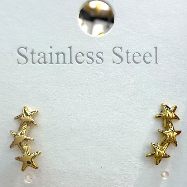 Earrings E117