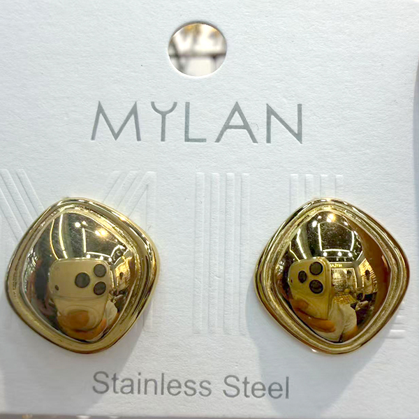 Earrings E118